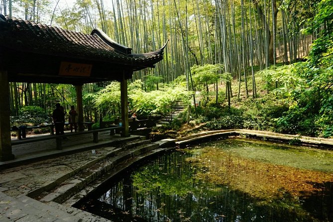 Half-Day Hangzhou Yunxi Bamboo Forest and Tea Plantation Experience - Key Highlights You’ll Actually Notice