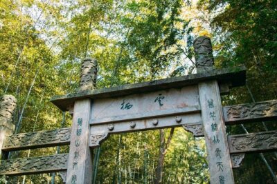Half-Day Hangzhou Yunxi Bamboo Forest and Tea Plantation Experience - Tea Tasting Masterclass: What You Learn (and What to Watch For)