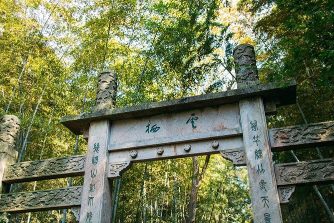 Half-Day Hangzhou Yunxi Bamboo Forest and Tea Plantation Experience - Tea Tasting Masterclass: What You Learn (and What to Watch For)