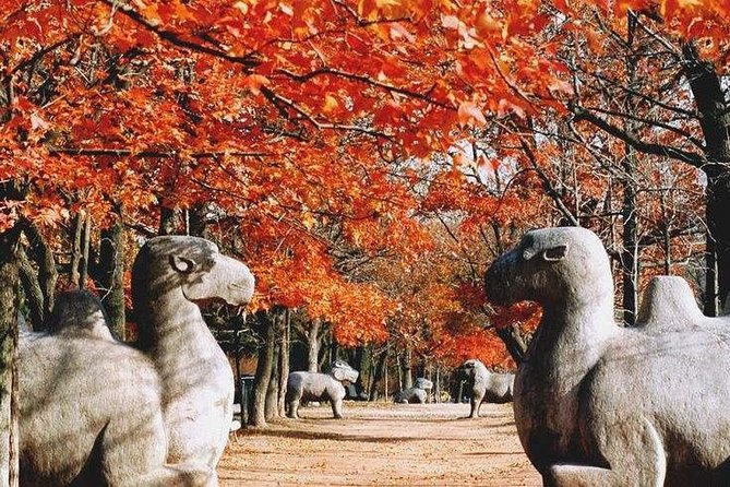 Half-Day Private Customized Nanjing City Tour - Why a Private Half-Day Works So Well in Nanjing