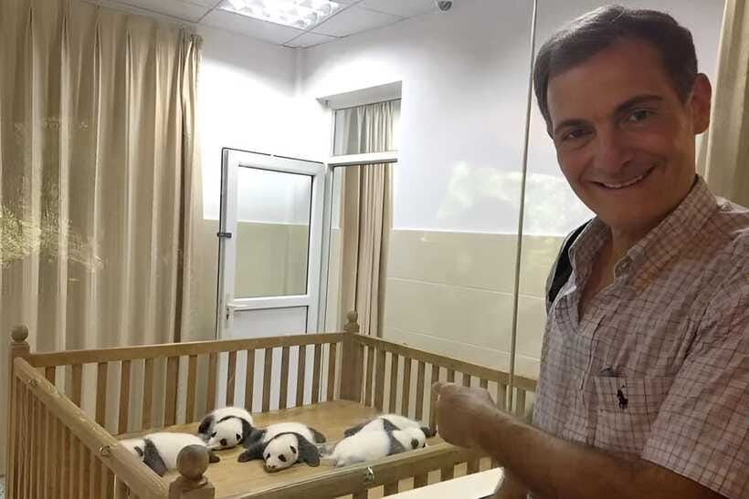 Half day small group tour to Chengdu Panda Breeding Center - Small group (up to six): less waiting, more breathing room