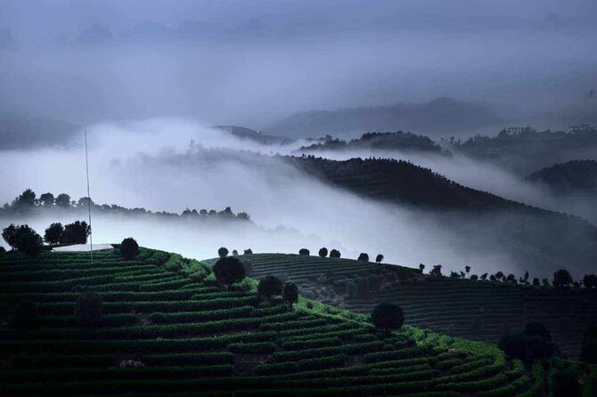 Half-day Tour: Largest Tea Plantation & Amazing Xianggong Hill - Half-day in Yangshuo: a smart combo of tea culture and Xianggong Hill views