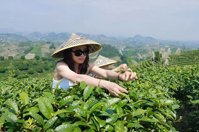 Half-day Tour: Largest Tea Plantation & Amazing Xianggong Hill - Price and value: what $107 gets you (and what it doesn’t)