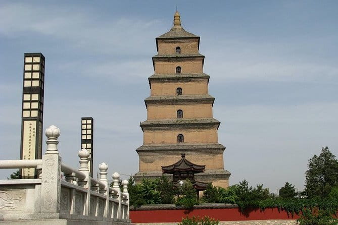 Half Day Tour to Xi'an Wild Panda Breeding and Protecting Center - Price and Value: Is $120 Per Person Fair Here?