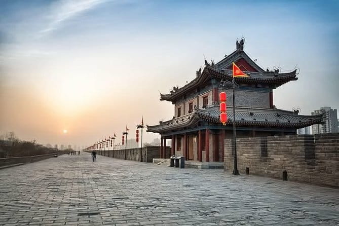 Half Day Tour to Xi'an Wild Panda Breeding and Protecting Center - Should You Book This Xi’an Panda Plan?