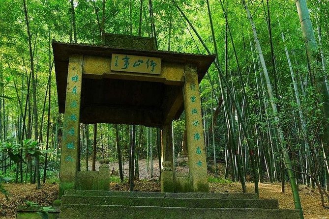 Hangzhou Jiuxi and Hupao Spring Hiking Day Trip from Shanghai by Bullet Train - Longjing Tea Fields Lunch: Why This Stops Feel Like the Point