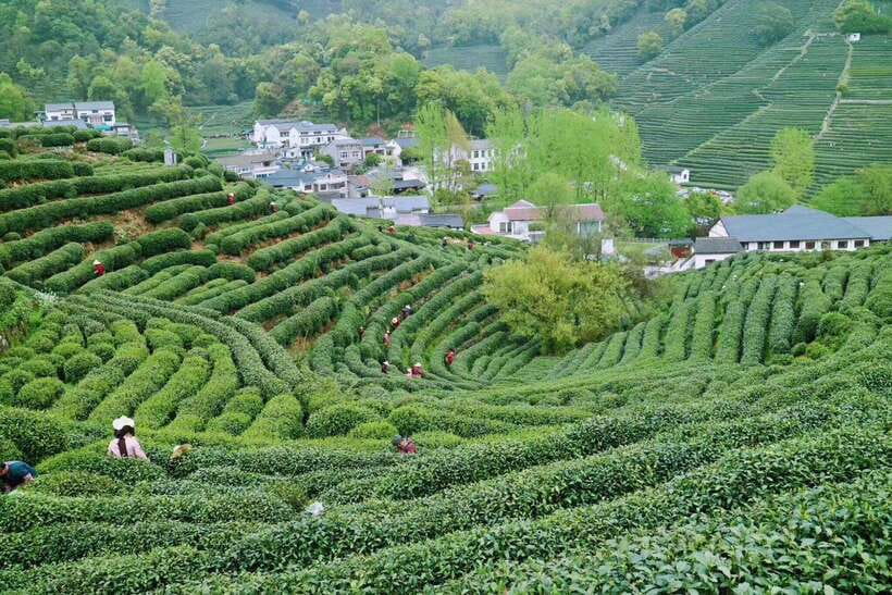 Hangzhou Private Day Trip by Bullet Train from Shanghai - The pacing: How this 11-hour day actually feels