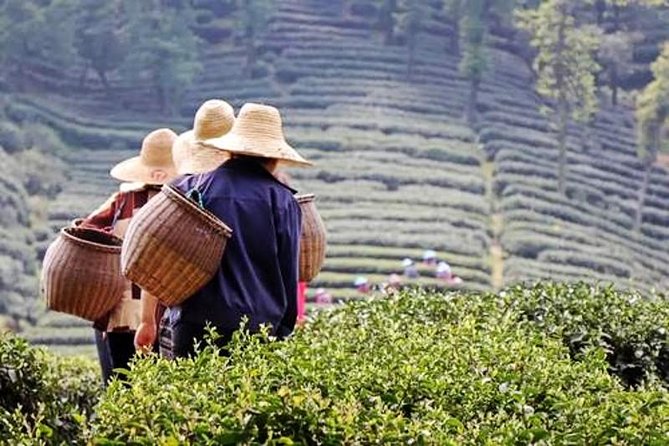 Hangzhou Private Flexible Day Tour with West Lake Boat Cruise - Lingyin Temple: big architecture and daily faith