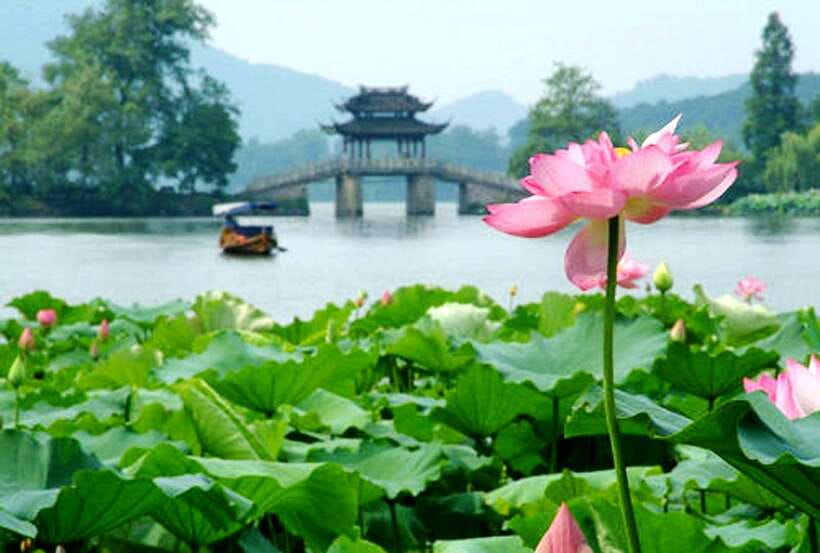 Hangzhou Private One Day Trip from Shanghai by Bullet Train - Price and Value: What You’re Really Paying For at USD 270