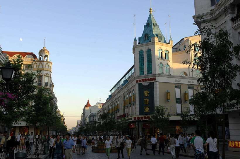 Harbin Ice and Snow Fairyland Private Day Tour - Harbin’s Ice Festival season, and what you’re really buying
