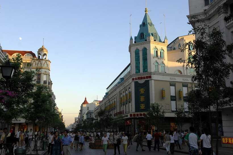 Harbin Ice and Snow Fairyland Private Day Tour - How the guide experience shows up in real comfort