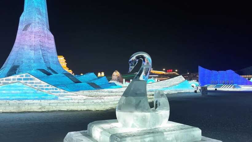 Harbin Ice and Snow Fairyland Private Day Tour - Food, timing, and the real value of $299 per person