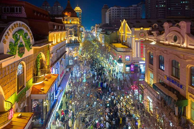 Harbin Ice and Snow Fairyland Private Day Tour - Private hotel pickup and why the car matters at -30°C