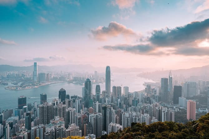 Hong Kong City Highlights and Hidden Gems by Private Car - Kowloon markets: goldfish, flowers, and Ladies Market energy