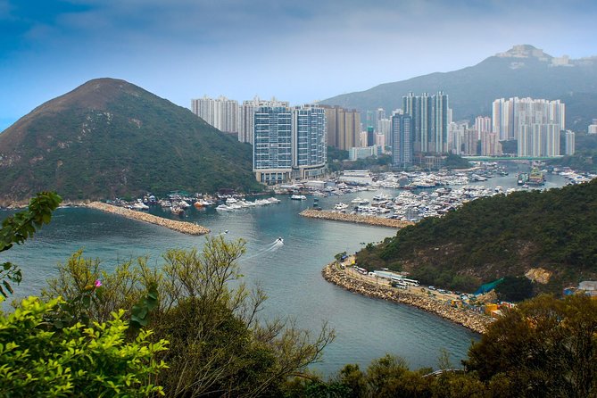 Hong Kong Like a Local: Private & Personalized Experience 2-6 hrs - History Meets Creativity: Herbal Shops, Antique Stores, and Street Art Streets