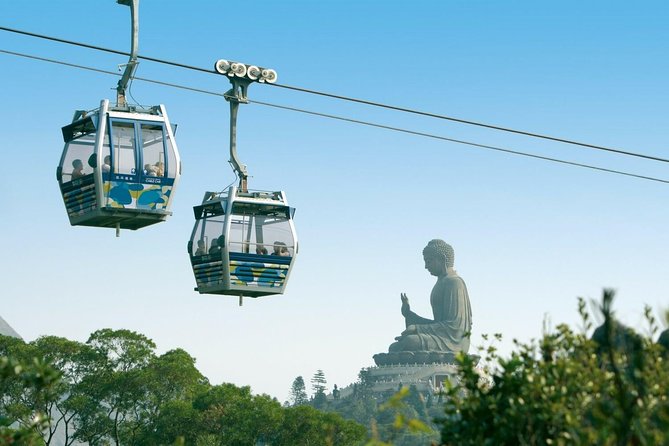 Hong Kong Like a Local: Private & Personalized Experience 2-6 hrs - Neon Food Stalls and Fortune Tellers: Eating Your Way Through the City