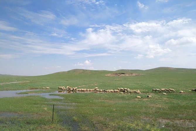 Huhhot 4D3N Inner Mongolia Grassland and desert nature tours - Price and what you truly get for about $250