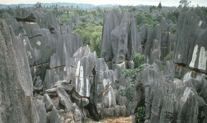Kunming: Stone Forest Private Day Tour - Key Things I’d Notice First