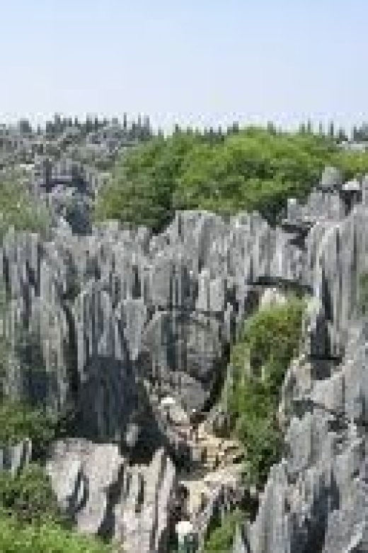 Kunming: Stone Forest Private Day Tour - Getting From Kunming to Shilin Without the Stress
