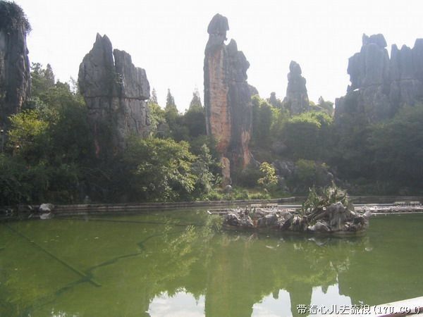 Kunming: Stone Forest Private Day Tour - How Long You’ll Spend and What That Means for Your Pace