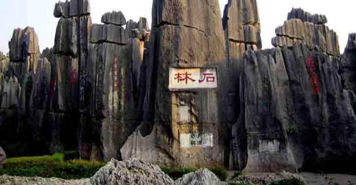 Kunming: Stone Forest Private Day Tour - What to Bring (And What Not to Bring) for a Smooth Day