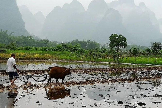 Li River Cruise with bamboo Rafting & Xianggong Hill Private Tour - When to Go and What to Pack for a Smoother Day