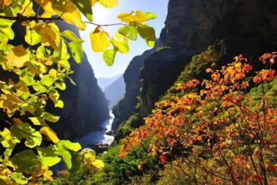 Lijiang to Shangri-La HuXiang Road Private Scenic Tour - Haba Village and Haba Snow Mountain: Naxi Homes and High-Altitude Air