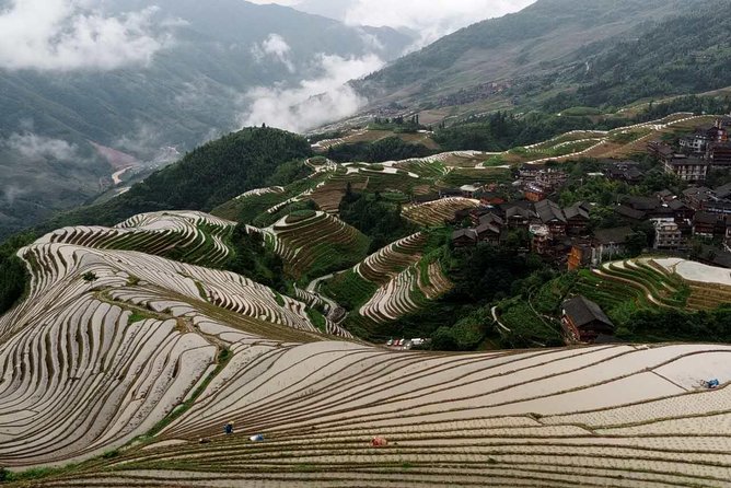 Longji Rice Terraces and Minority Village Day Tour - Who should book this Longji and minority village day tour