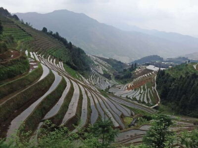 Longji Rice Terraces: Full-Day Private Tour from Guilin - Ping’an Village: Traditional Wooden Houses and Minority Culture