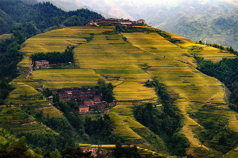 Longsheng Ethnic Minority & Rice Terraces Full-Day Tour - Tips to Make Your Day Smoother (and More Fun)