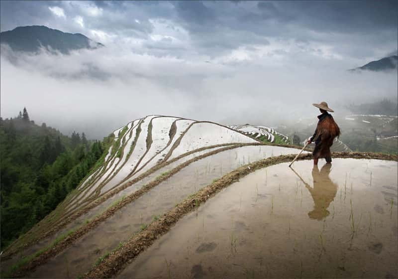 Longsheng Ethnic Minority & Rice Terraces Full-Day Tour - Dragon’s Backbone Rice Terraces: Seasons, Altitude, and Steep Angles