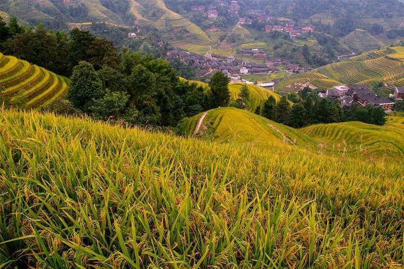 Longsheng Ethnic Minority & Rice Terraces Full-Day Tour - Lunch in a Mountain Setting: Why the Included Meal Matters