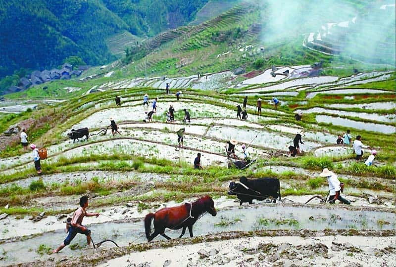 Longsheng Ethnic Minority & Rice Terraces Full-Day Tour - The 08:30 Pickup and the Drive to Longsheng County