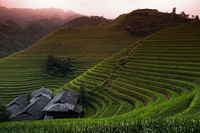 Mini Group: Longji Rice Terraced Fields and Minority Villages Tour - The real draw: rice terraces that still feed families