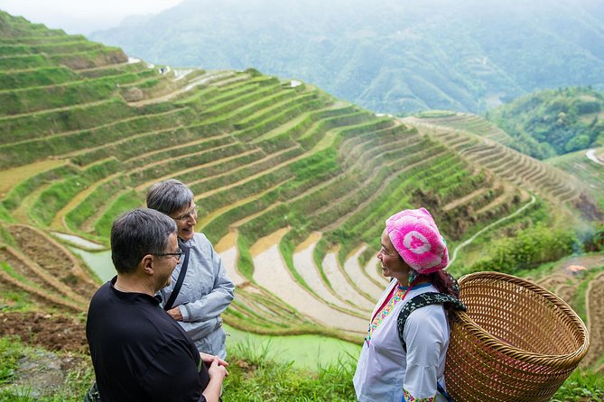 Mini Group: Longji Rice Terraced Fields and Minority Villages Tour - Longji terraces: Ancient Zhuang Village as your “orientation stop”