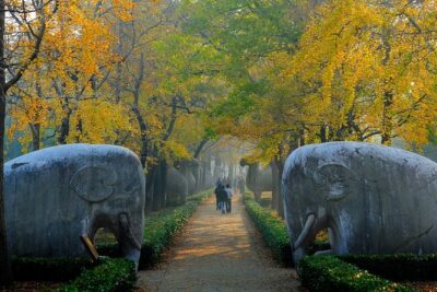 Nanjing Private English Tour Guide Service - Sun Yat-sen Mausoleum and Xiaoling Tomb: Big Stops with Human Explanations