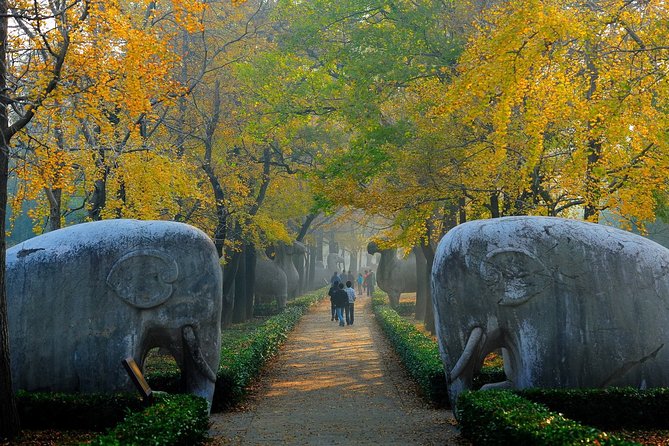 Nanjing Private English Tour Guide Service - Sun Yat-sen Mausoleum and Xiaoling Tomb: Big Stops with Human Explanations
