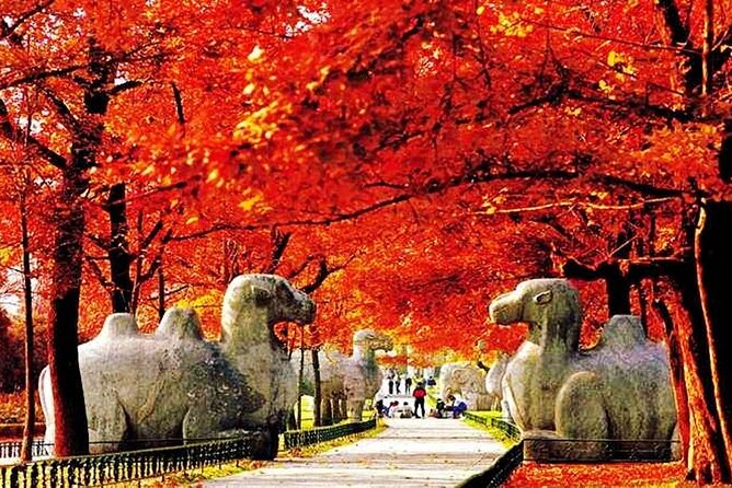Nanjing Professional English Tour Guide Service - Stop 1: The Nanjing Orientation Hour (Get Your Bearings Fast)