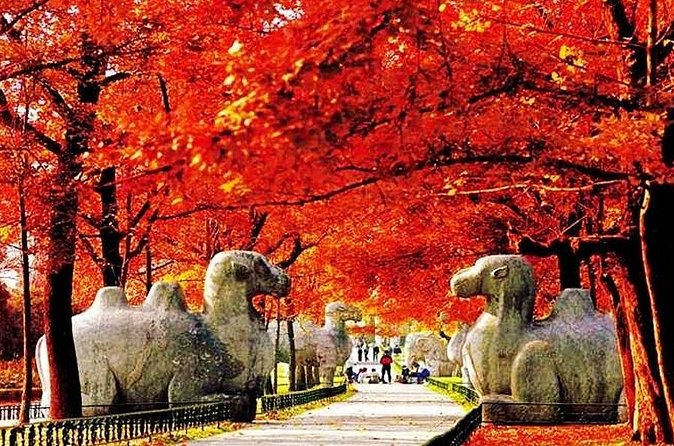 Nanjing Professional English Tour Guide Service - The Private Car Option: When It’s Worth Paying Extra