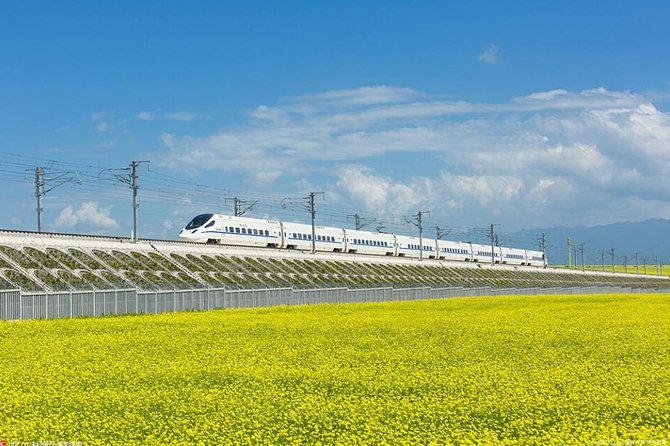 One Day Chengdu Xian Tour by Bullet Train - First stop in Xi’an: a name-board meet-up