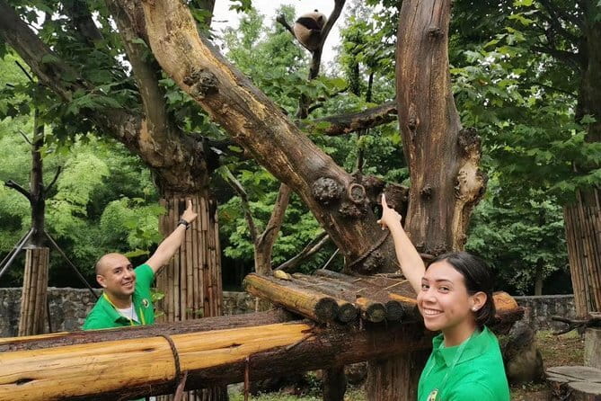 One Day Trip to Chengdu Panda Base and Leshan Buddha Tour - Who this tour suits best