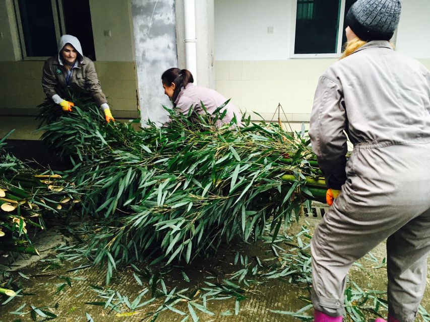 Panda Volunteer Project Day Trip(Wolong/Du Jiang Yan) - Movie time, panda cakes, and the certificate