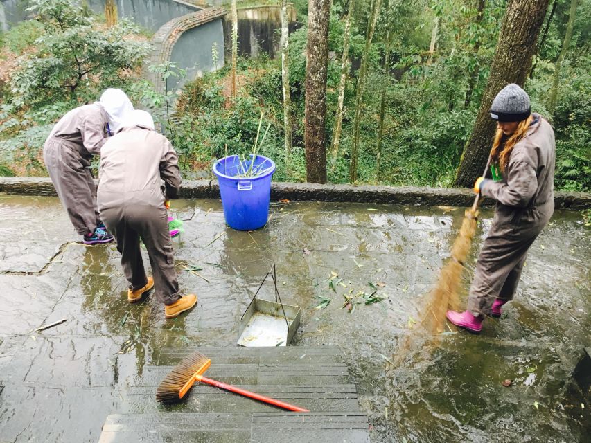 Panda Volunteer Project Day Trip(Wolong/Du Jiang Yan) - Who this panda volunteer trip is best for