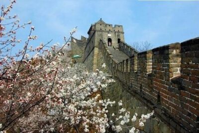 Private Beijing Layover Tour: PEK Airport to Mutianyu Great Wall - Transport-only vs all-inclusive: choose how much you want to think