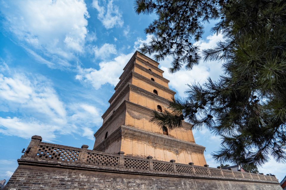Private Big Wild Goose Pagoda Buddhism Walking Tour - Da Cien Temple and Big Wild Goose Pagoda: What the Guide Helps You Notice