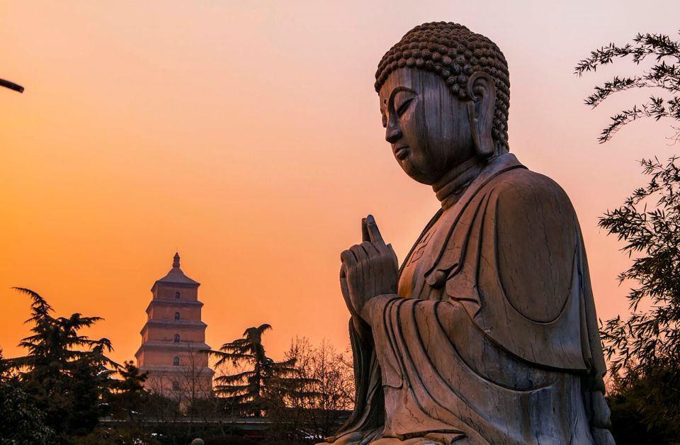 Private Big Wild Goose Pagoda Buddhism Walking Tour - Price and Logistics: Is $54 Good Value?