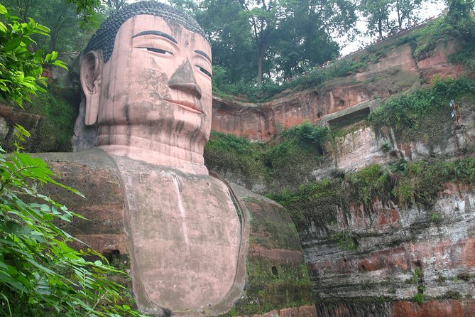 Private Day Tour: Chengdu Panda and Leshan Buddha - Morning at Chengdu Panda Base: What You’ll Actually See