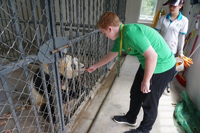 Private Day Tour: Dujiangyan Panda Base Volunteering from Chengdu - First thing: how the morning pickup sets the tone