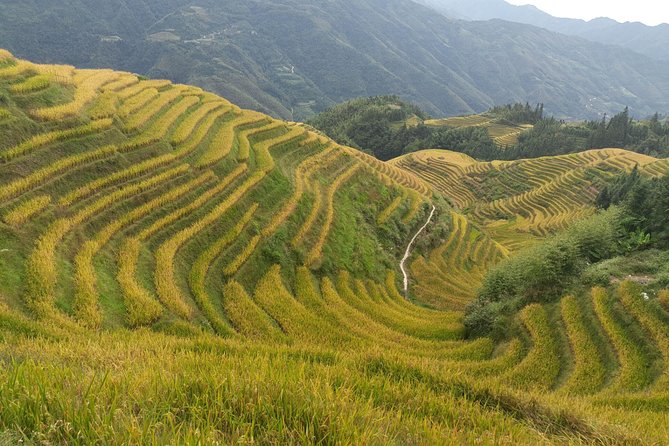 Private Day Tour: Longji Rice Terraces and Long Hair Village - Private Day Tour to Longji Rice Terraces: The Real Value in One Day