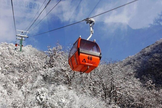 Private Day Tour to Beijing Mutianyu Great Wall - What’s Included in the Price (and What Isn’t)